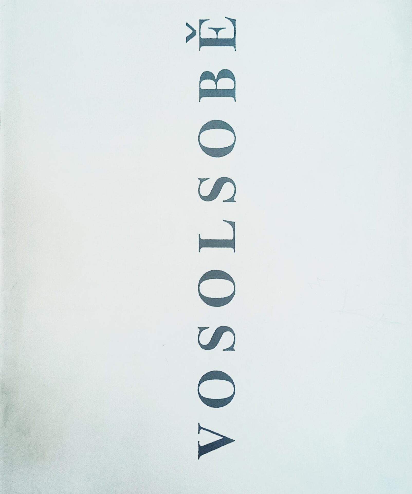 Tomáš Vosolsobě (Ausstellung in der “Alten Sparkasse” in Singen)