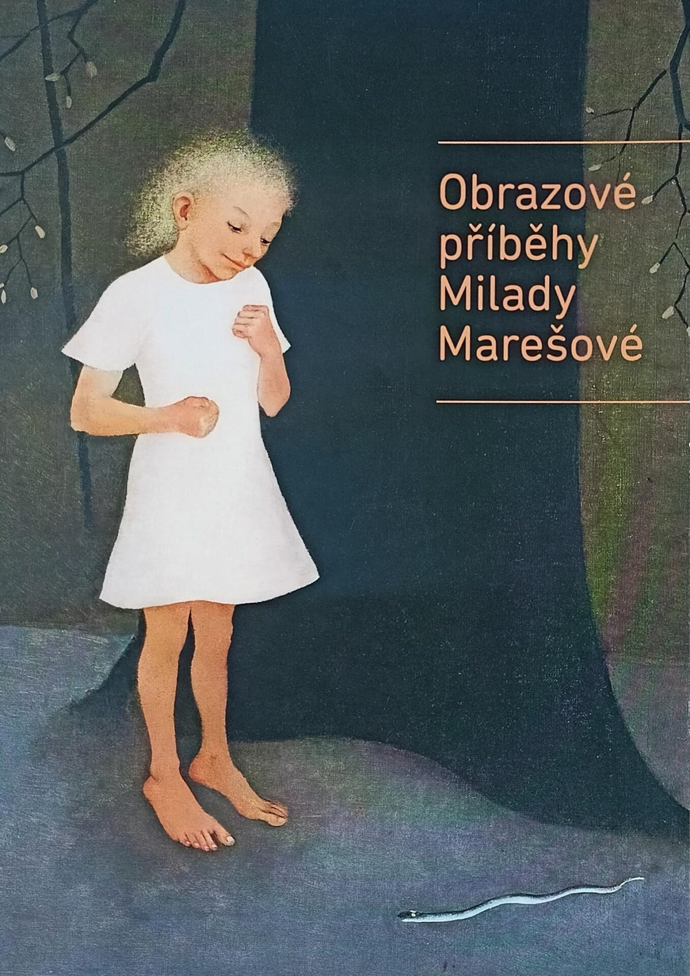 Obrazové příběhy Milady Marešové