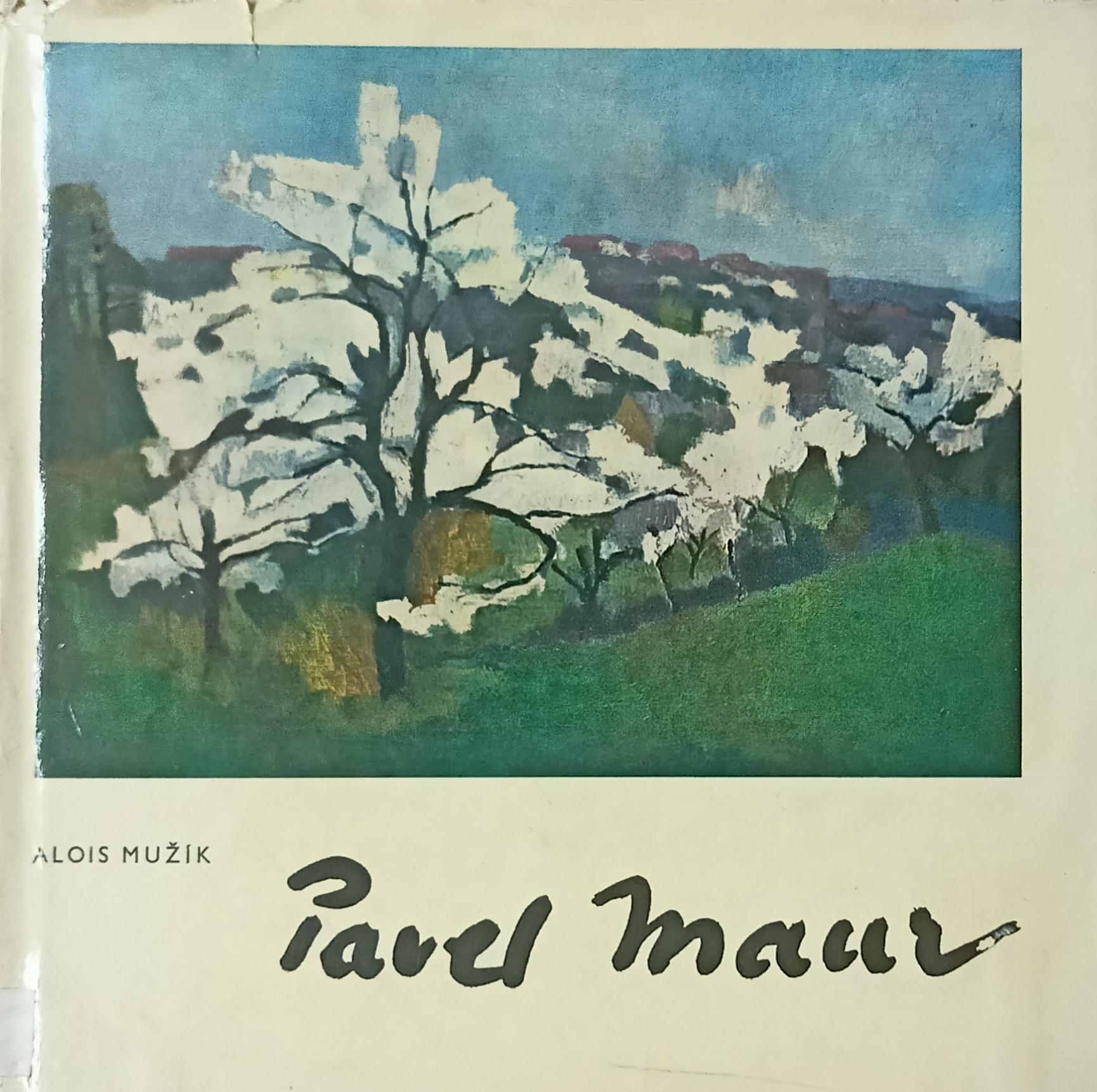 Pavel Maur