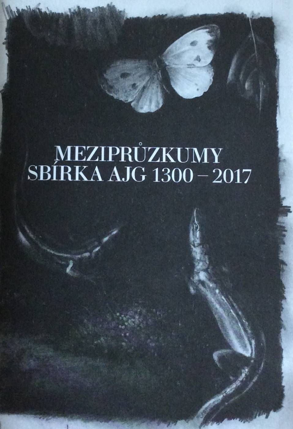 Meziprůzkumy