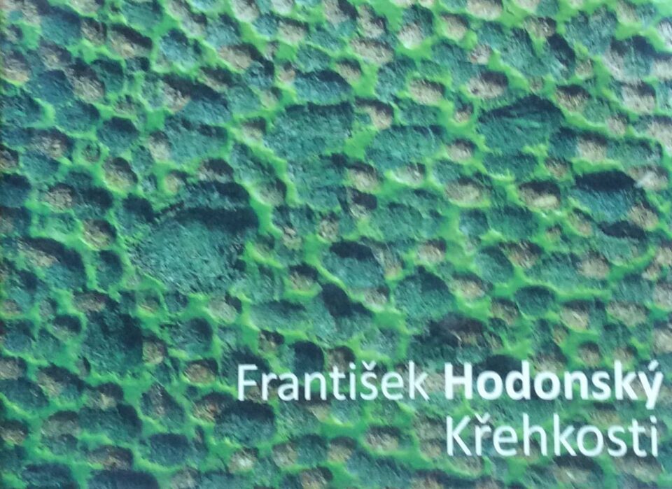 František Hodonský – Křehkosti