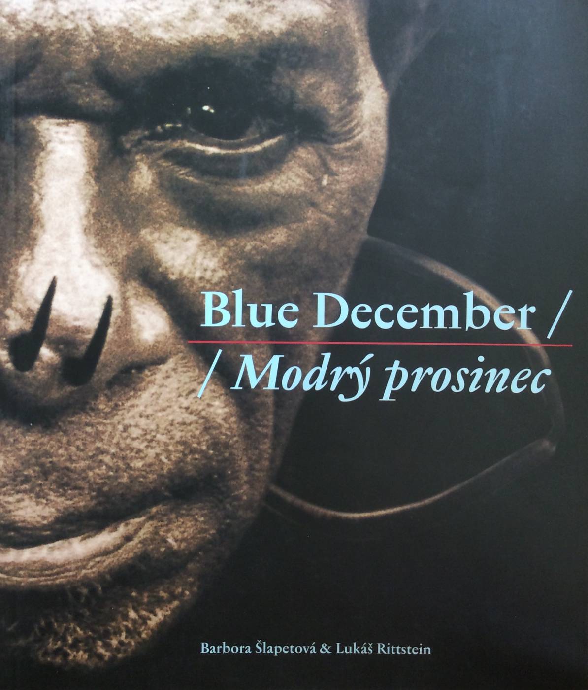 Barbora Šlapetová & Lukáš Rittstein – Blue December / Modrý prosinec