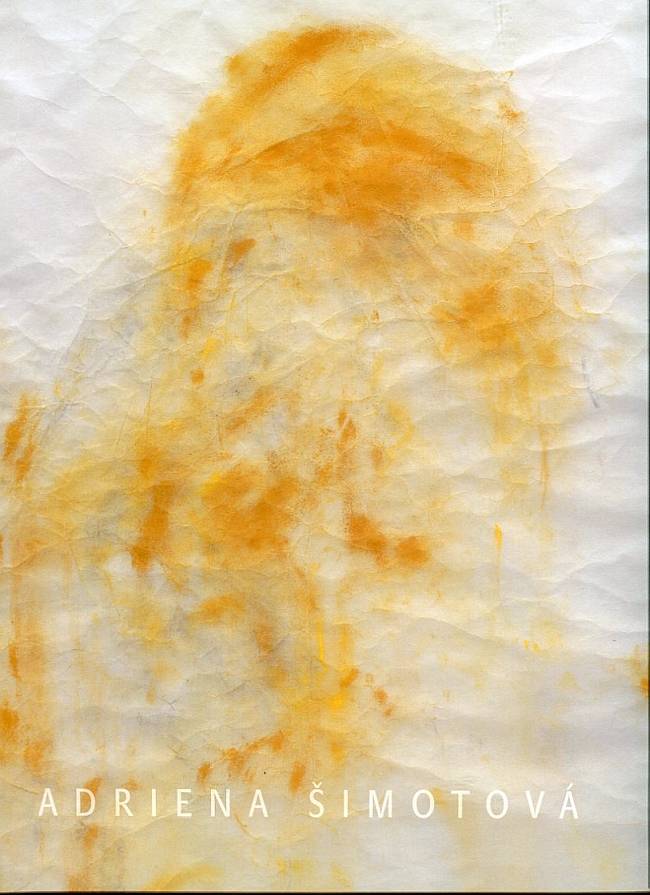 Adriena Šimotová – Vyjevování / Revelations (2008 – 10)
