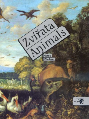 Zvířata / Animals