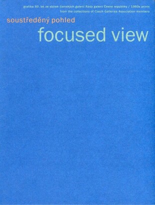 Soustředěný pohled / Focused View