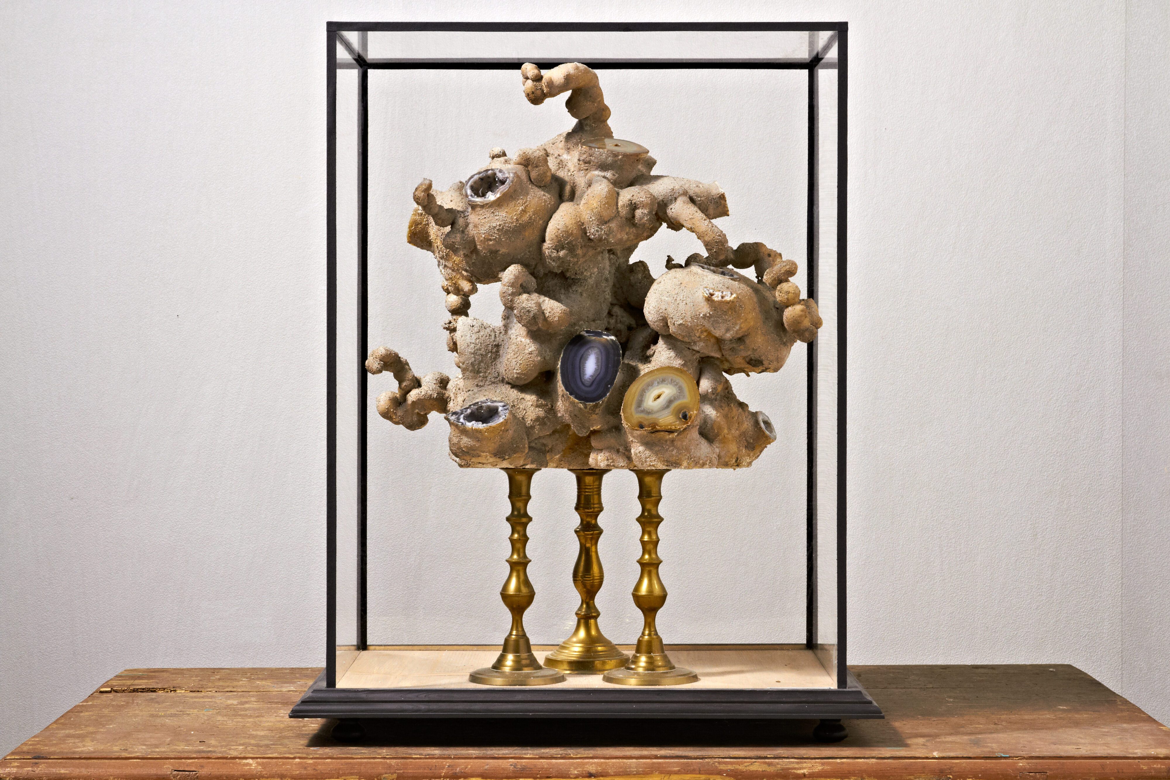 DISEGNO INTERNO – EVA ŠVANKMAJEROVÁ / JAN ŠVANKMAJER | GASK