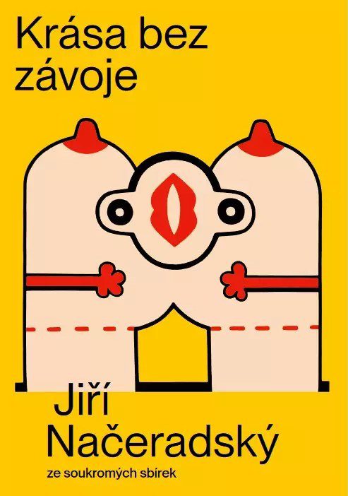 Krása bez závoje – Jiří Načeradský