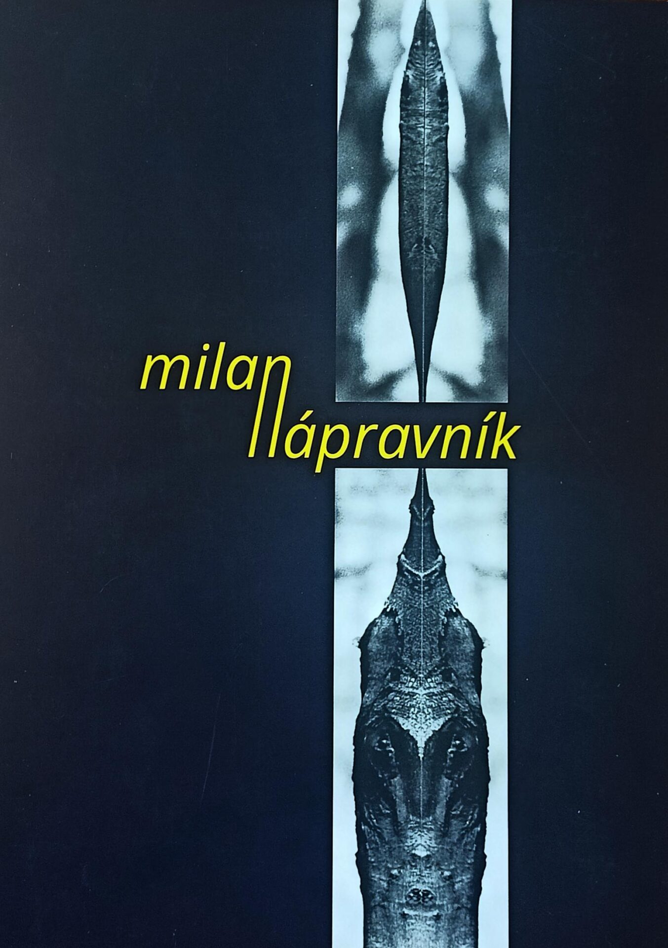 Milan Nápravník – Malby, inverzáže, asambláže