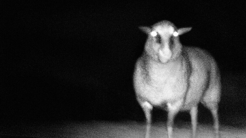 Kateřina Simerová – In the Dark