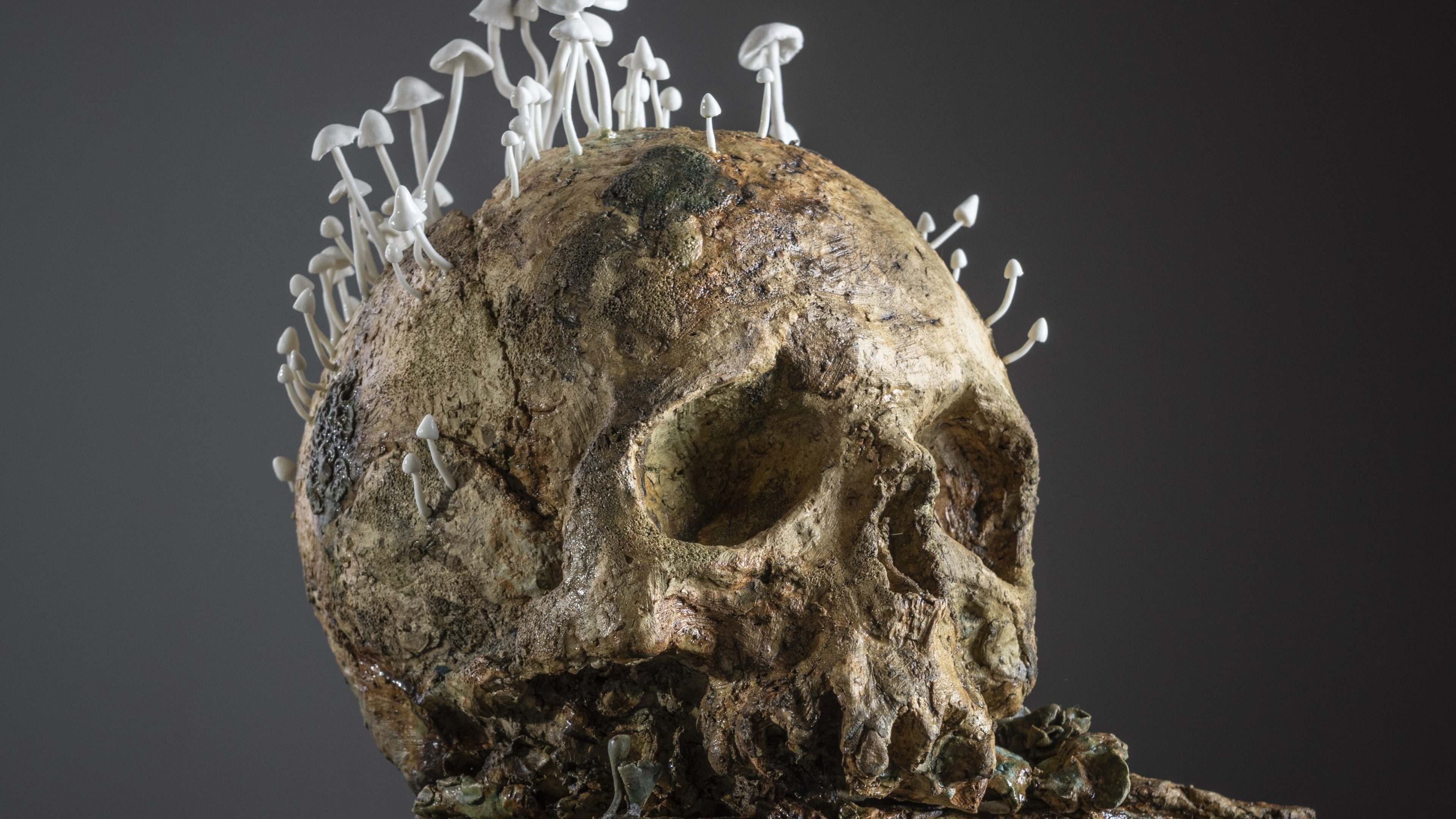 Mummies in Lace Porcelain Sculptures and Jewellery by Tereza Eisnerová