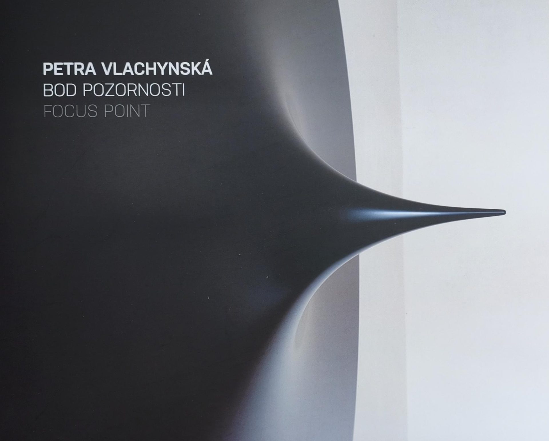 Petra Vlachynská – Bod pozornosti / Focus Point